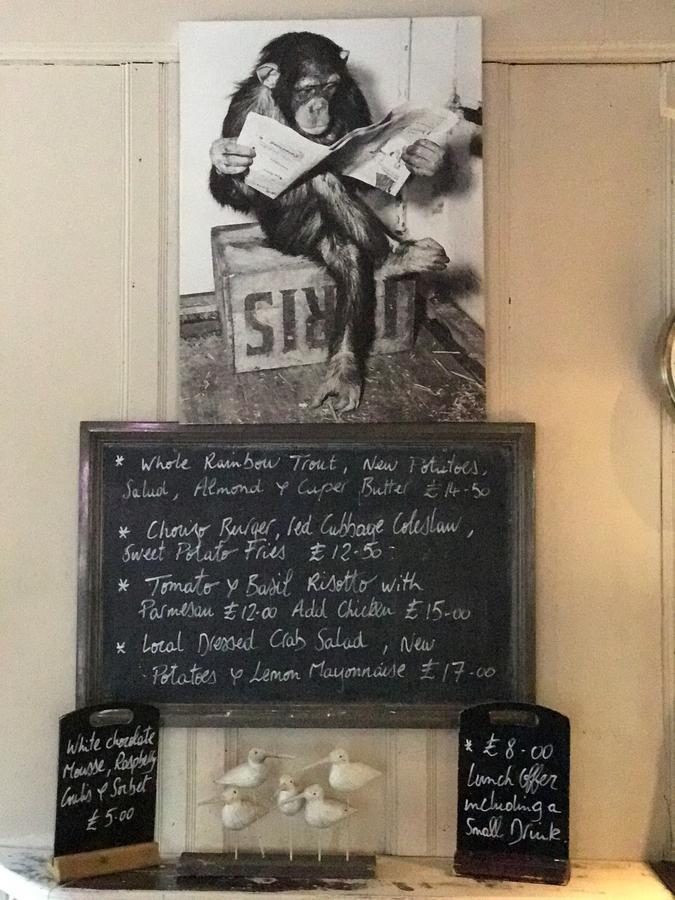 Monkey Brewhouse Hotel Lymington Eksteriør billede